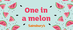 One in a Melon